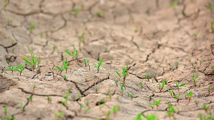 Hälfte aller Landkreise verbraucht zu viel Wasser