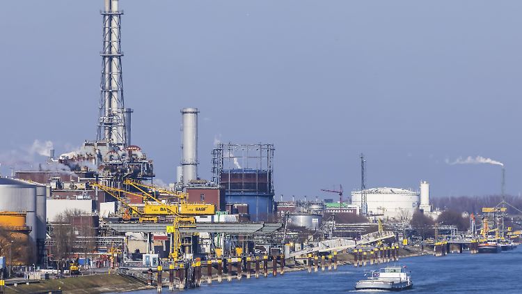 BASF spart Millionen am Stammsitz - aber nicht beim Weinkeller