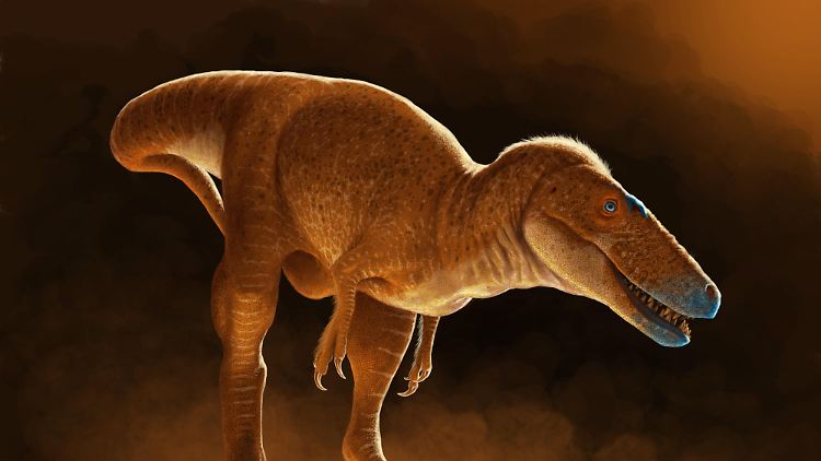Dieser Dinosaurier soll Vorfahre des T-Rex sein