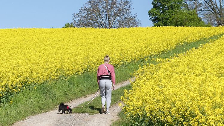 Forscher finden simples Mittel gegen Rückenschmerzen