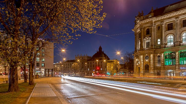 Warum Pflanzen in Städten früher und länger wachsen