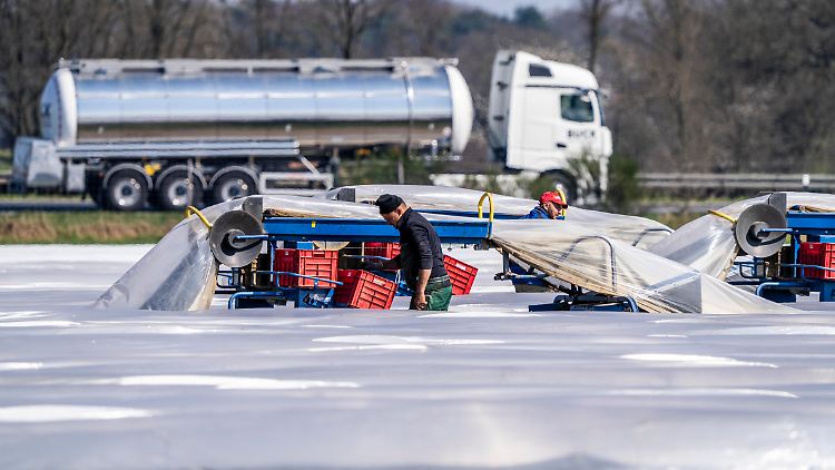 CSU-Agrarminister will Saisonarbeitern den Mindestlohn streichen