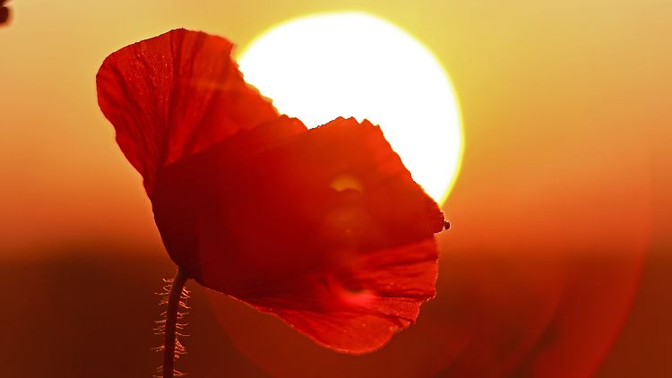 21. Juni - Erhellendes zur Sommersonnenwende