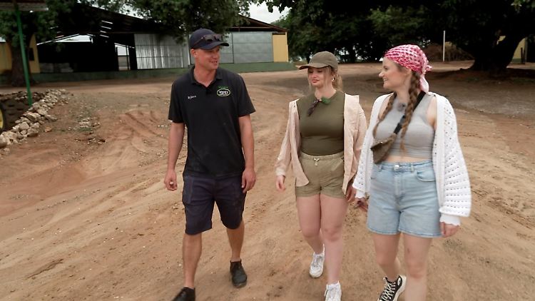 Wenn der Farmer Kacke baut