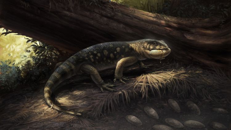 Riesenechse aus der Kreidezeit entdeckt - heißt wie Goblinprinz