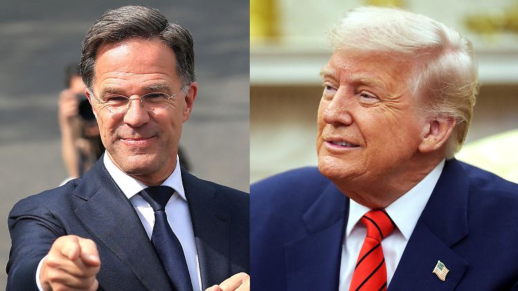 Nato-Chef Rutte lobt "lieben Donald" überschwänglich