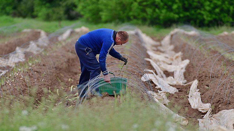 Mindestlohn-Entscheid "ist kräftiger Schluck aus der Pulle"