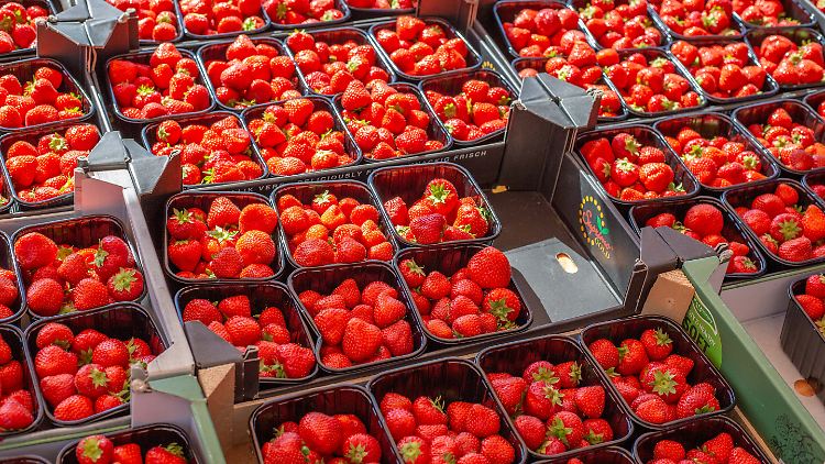 Warum sind Erdbeeren so teuer?