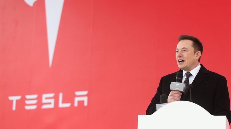 Tesla-Aktionäre rebellieren gegen Musks Partei-Pläne