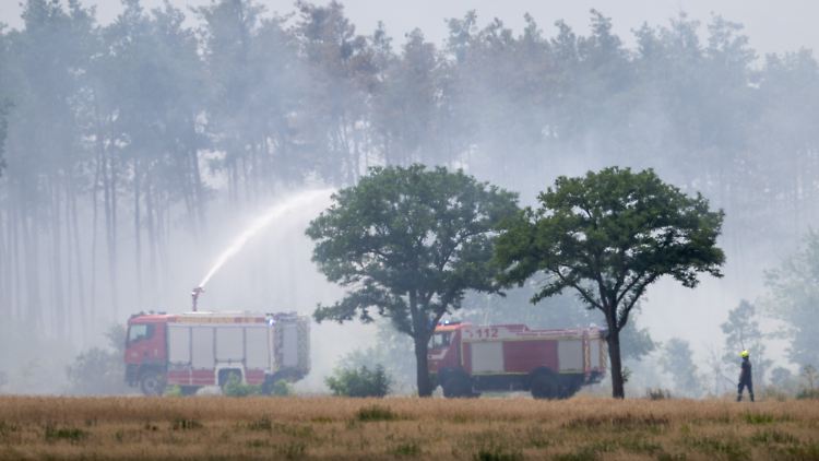 Einsatzkräfte kriegen Waldbrände schwer in den Griff