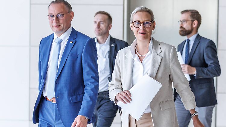 Die Charme-Offensive der AfD ist heiße Luft