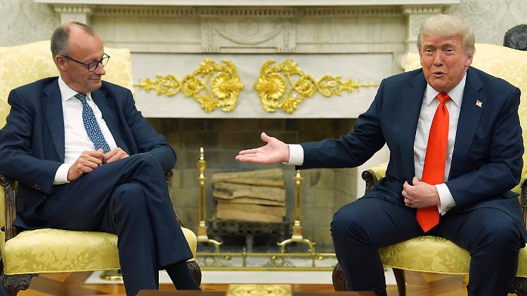 Merz will globale Mindeststeuer in Europa kippen