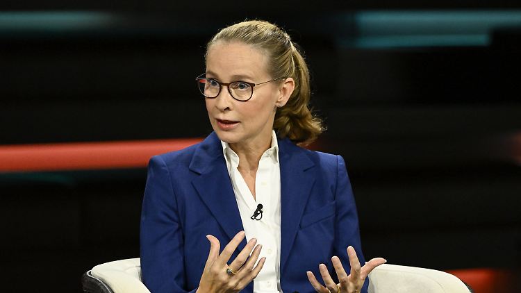 Die Erklärung von Frauke Brosius-Gersdorf im Wortlaut