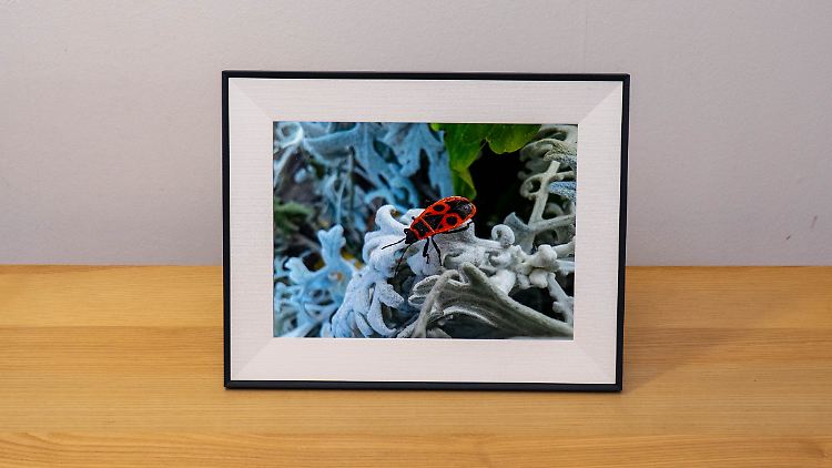 Mit dem Aura Aspen teilt man Fotos im großen Format