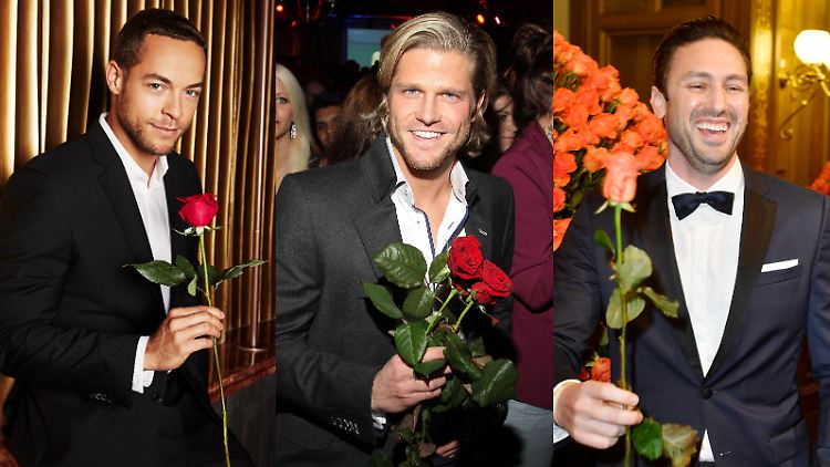 Diese "Bachelor"-Momente bleiben für die TV-Ewigkeit