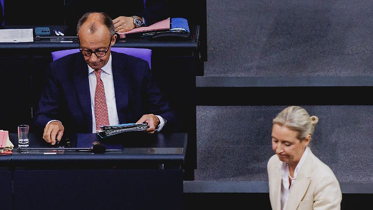 Die AfD zieht mit der Union gleich - Merz verliert weiter