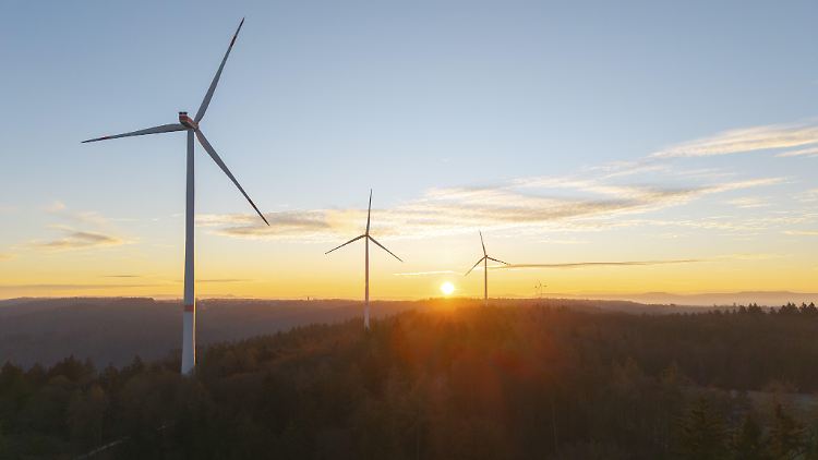 UN-Gericht erklärt Klimaschutz zum Menschenrecht