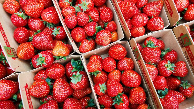 Deutschland steht vor niedrigster Erdbeerernte seit 30 Jahren