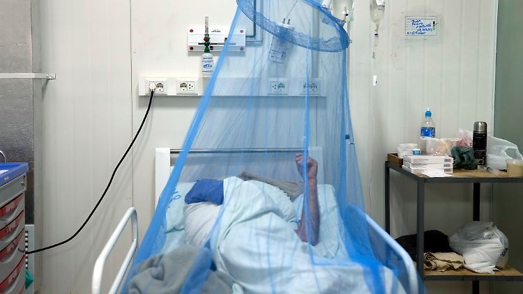 Chikungunya-Virus grassiert in Südchina