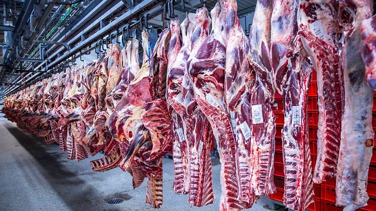 Ressourcen der Erde für das ganze Jahr jetzt schon verbraucht