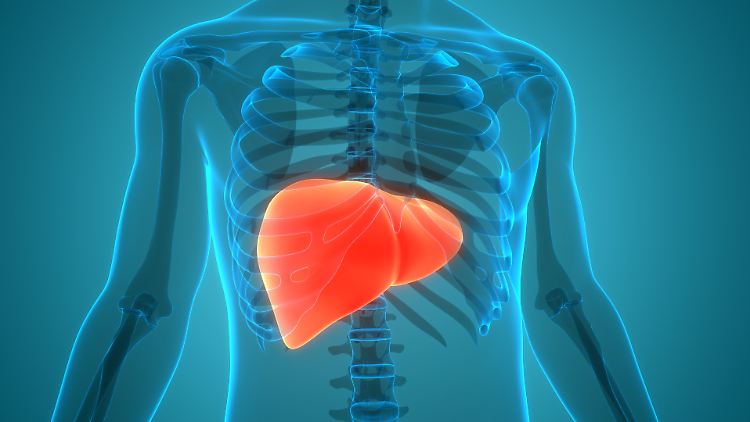 Experten sehen drastischen Anstieg von Leberkrebs