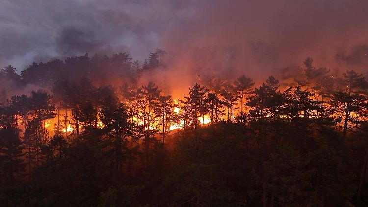 Naturkatastrophen verursachen so hohe Kosten wie lange nicht