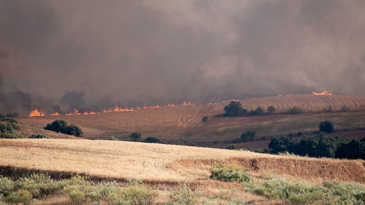 Mittelmeerraum ächzt im Juli unter Rekordtrockenheit