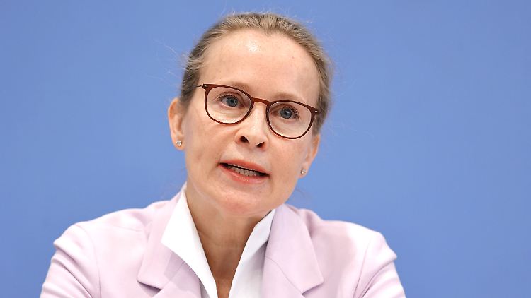 So erklärt Frauke Brosius-Gersdorf ihren Verzicht aufs Richteramt