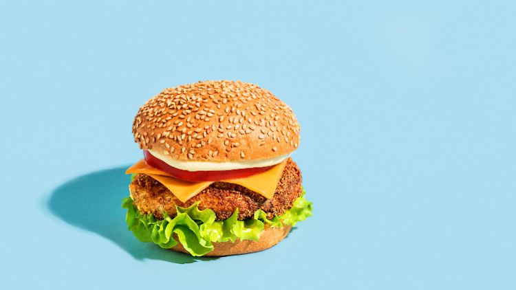 Cheeseburger schlägt Empörungskultur: Wie klinisch tot ist Deutschland?
