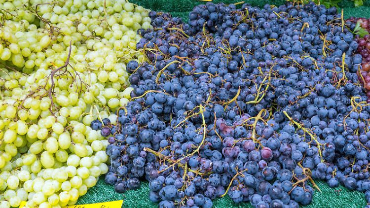 Warum Trauben zum Superfood geh&ouml;ren sollten