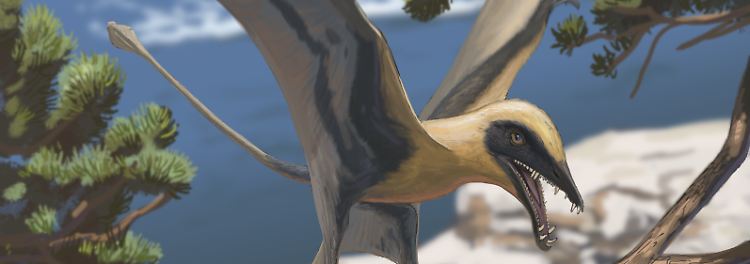 Ältester Flugsaurier Deutschlands lebte in der Südeifel