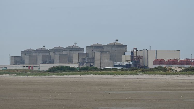 Quallen im Wasserfilter legen französisches AKW lahm