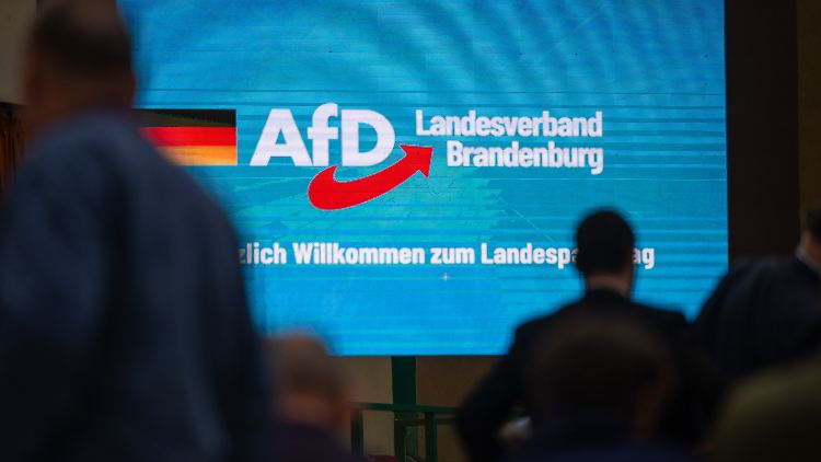 Behörde: Brandenburger AfD verstößt gegen Menschenwürde und Verfassung