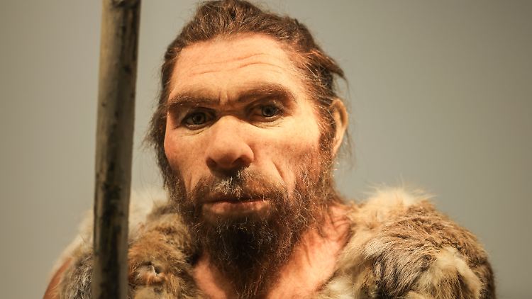 Wann Neandertaler und Homo sapiens das erste Mal Sex hatten