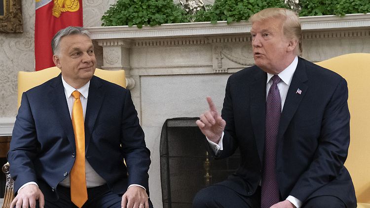 Trump ist "sehr w&uuml;tend" &uuml;ber ukrainische Druschba-Angriffe