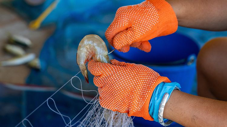 Walmart ruft Shrimps wegen möglicher radioaktiver Belastung zurück