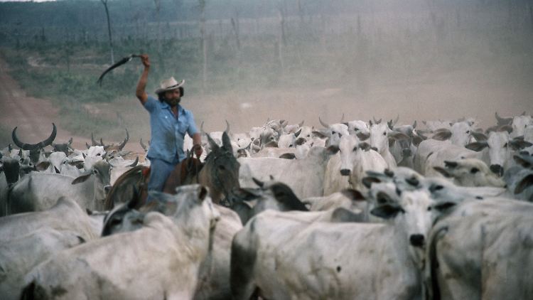 Brasilianisches Gericht verurteilt VW zu Strafe