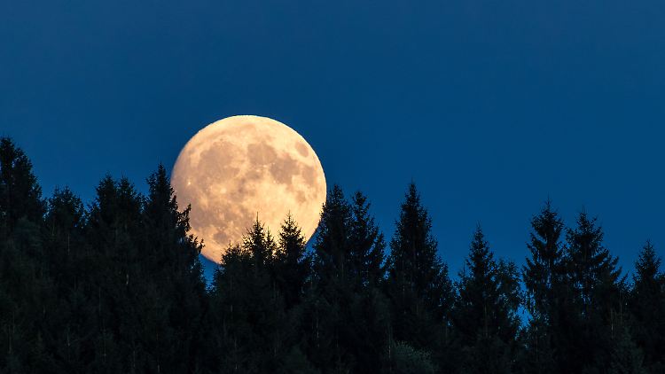 Um 19.31 Uhr geht der verfinsterte Mond über Deutschland auf
