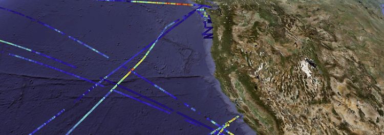 Dem häufigsten Organismus der Erde wird es zu warm