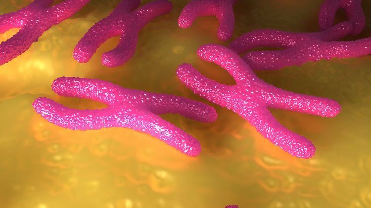 Wie Telomere und Lebensstile zum Altern beitragen