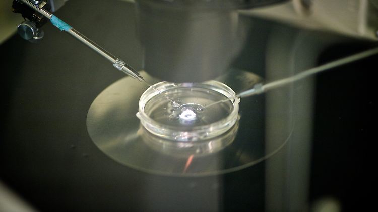 Silicon Valley investiert Milliarden in die Supermenschen-Branche