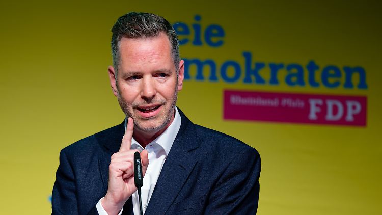 Dürr will FDP zur Partei der "radikalen Mitte" machen