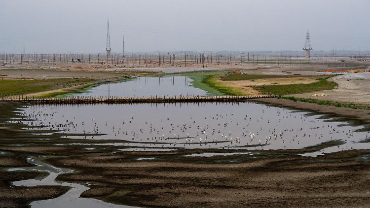 Studie: Trockenheit im Ganges so groß wie nie