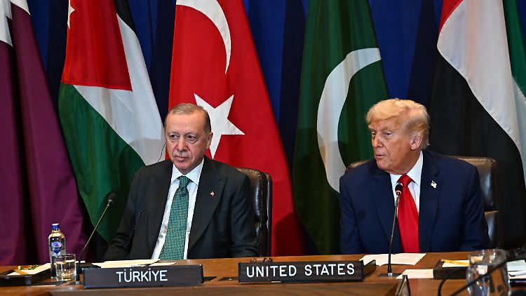 Trump und Erdogan beraten über Ende des Gaza-Kriegs