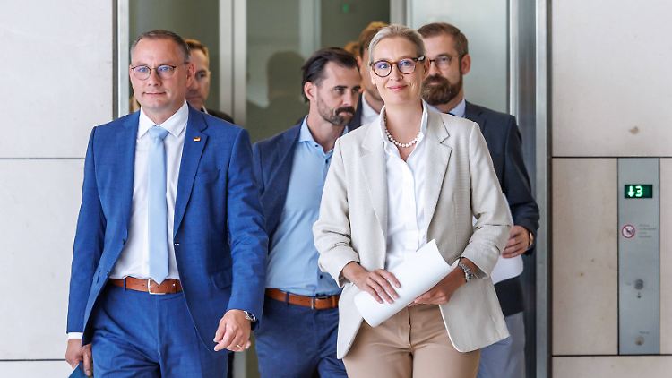 AfD zieht an Union vorbei und steigt auf Allzeithoch, Merz im Tief