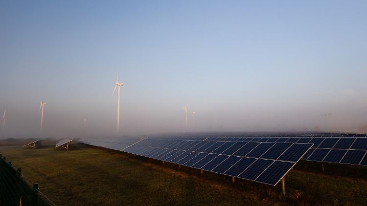 Deutschland meldet für 2024 Rekordsumme an Klimaschutzhilfen