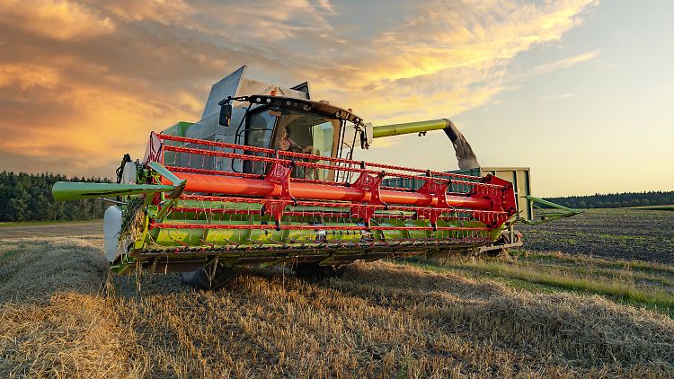 Die deutsche Nahrungsmittelsouveränität schrumpft - ist das ein Problem?