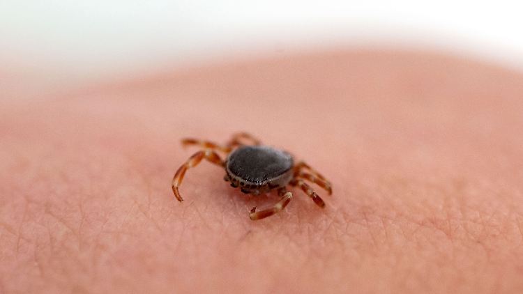 Wie groß ist die Virus-Gefahr für Deutschland?