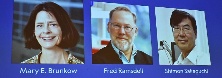 Medizin-Nobelpreis f&uuml;r Erforschung des Immunsystems