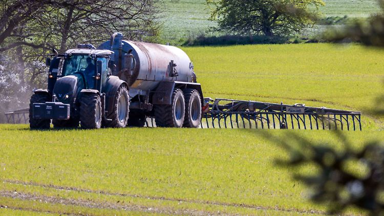 Gericht: Bund muss Aktionsprogramm Nitrat erstellen
